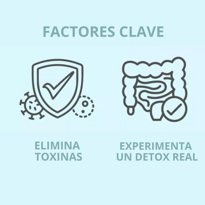 Programa Detox 15 Días: Renovación Digestiva y Salud del Colon